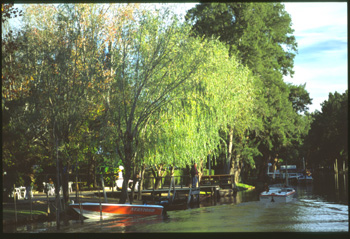 buenos aires-42.jpg